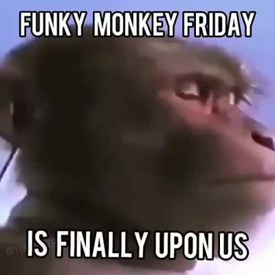 LET'S FUCKING GO
