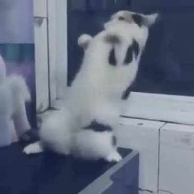When the rhythm finally gets ya