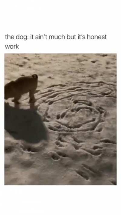 What da dog doin'?