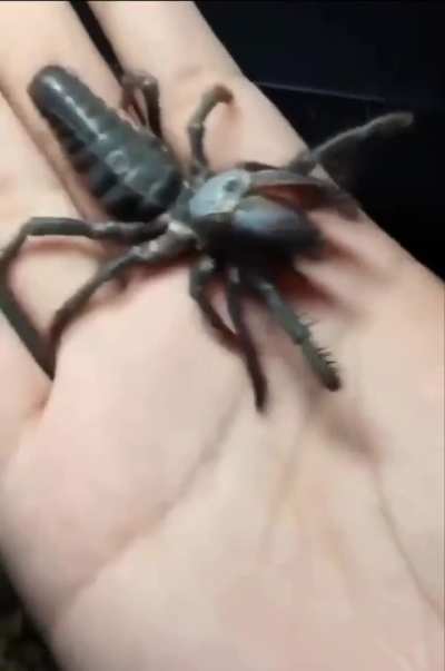 Fuck NOPE