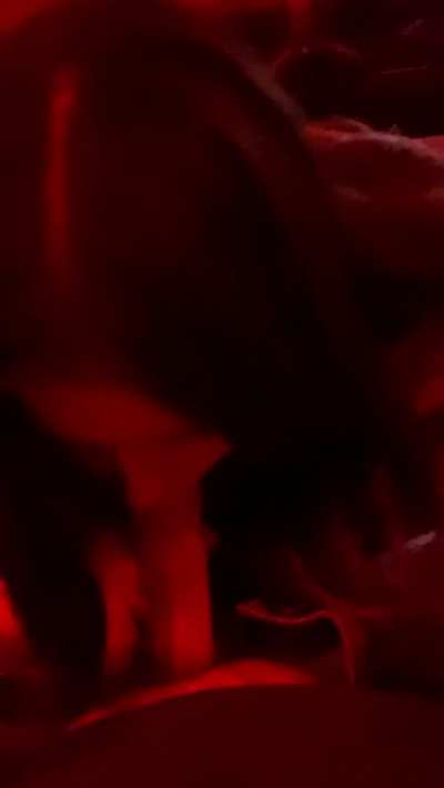 Blowjob GIF by victoriaandpoe915