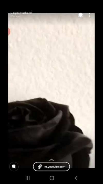 Corpse Husband screaming on snapchat. (That voice doe...)