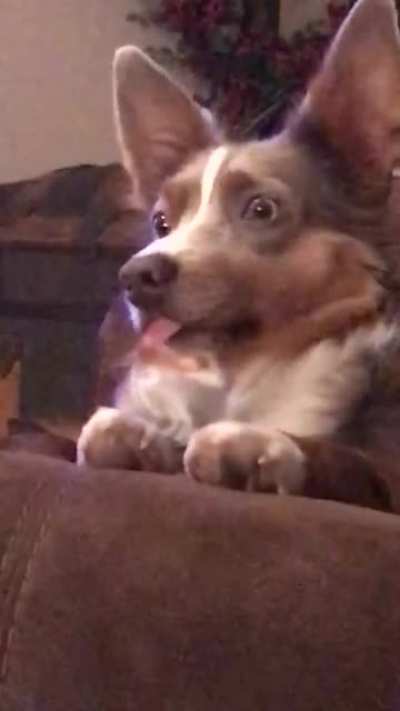 She was like this for a good whole minute