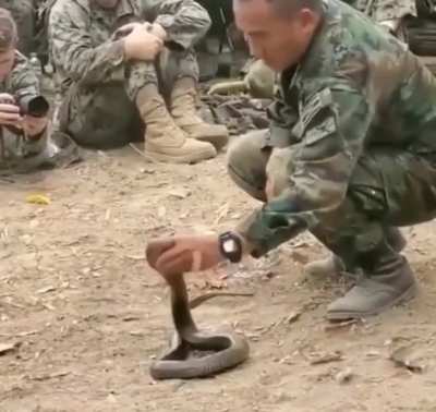took the snake very gently