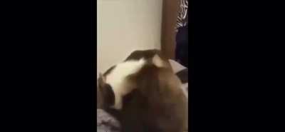 EGGHHHH