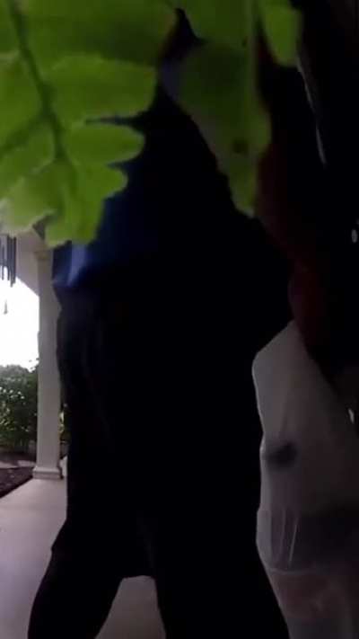 She didn&rsquo;t expect this Type of scream.