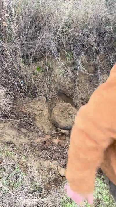 Digging a grave, but stopping to play with a little firecracker. 