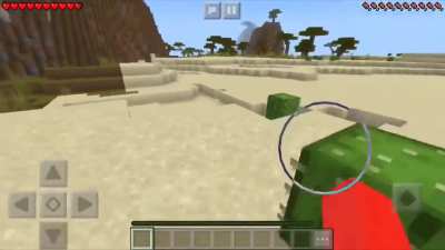 Cactus more like cacsus