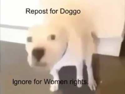 Yes