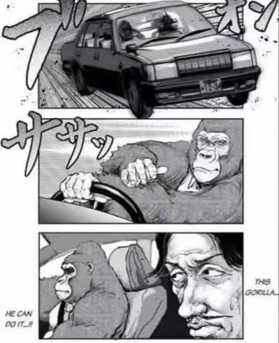 Gorilla