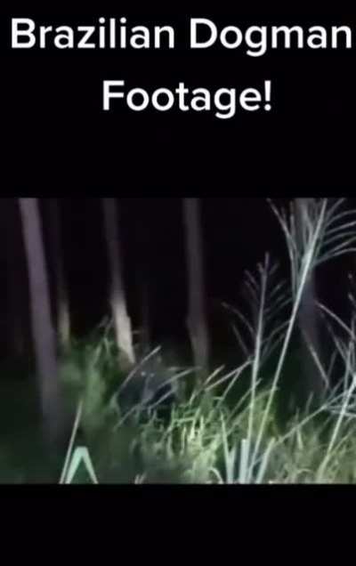 dogman encounter