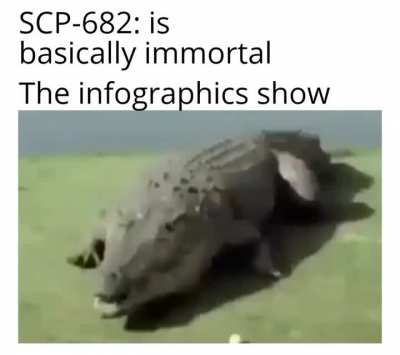 "He survived the nuke, that means he would die from some rockets"