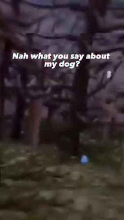Go get him Rufus!