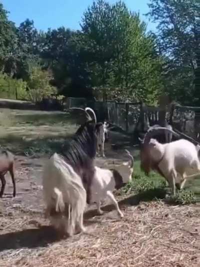 That was ... Horny