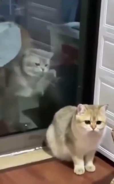He's behind me and doing it again isn't he?