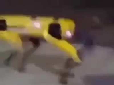 what da bot smokin'