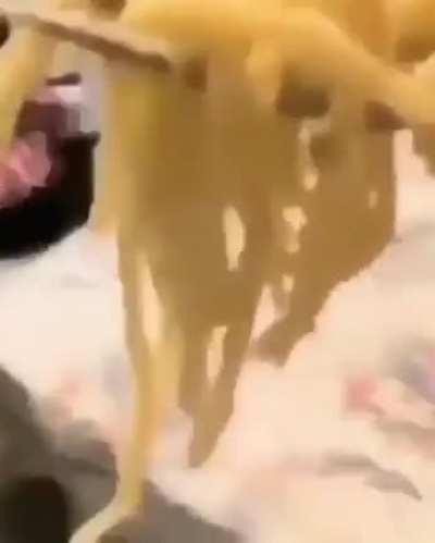 corked pasta
