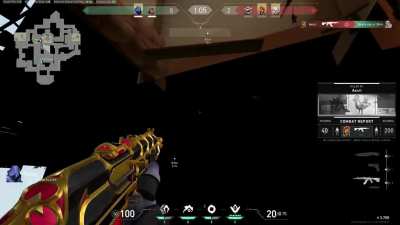 Omen and Sage glitching Haven