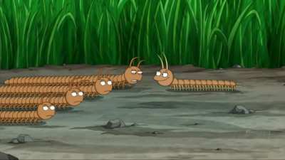 millipedes and centipedes