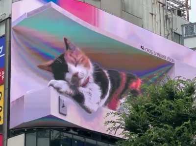 Uma tela com um gato perto de uma esta&ccedil;&atilde;o em Shinjuku, em T&oacute;quio.