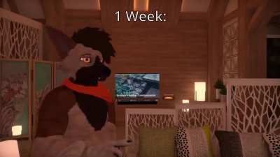 Furry_irl