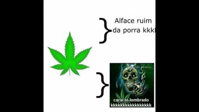 Um mato interessante