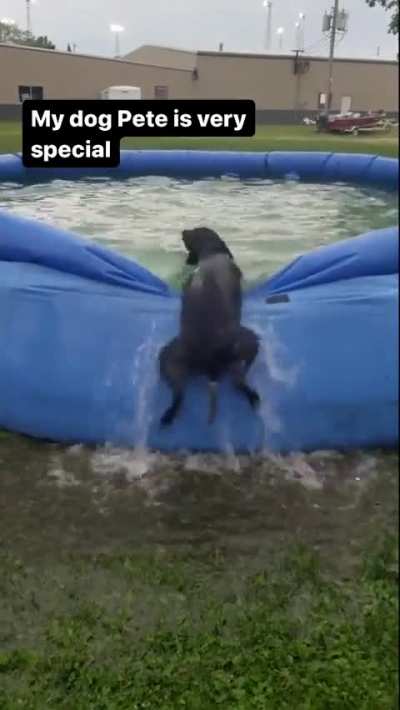 Doggy just wanted a bath