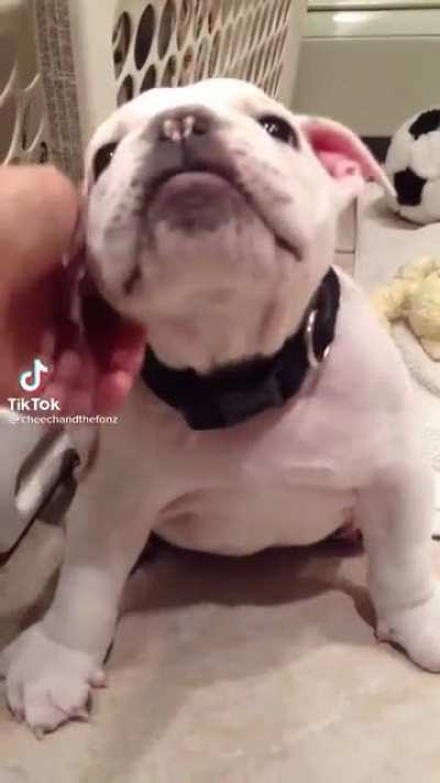 Handsome and thicc