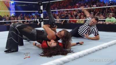 Brie Bella Pinned By Steph