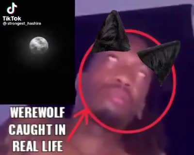 Werewolf Sighting!