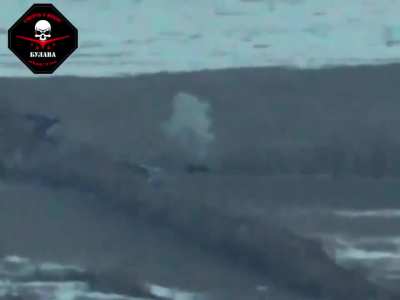 Drone footage of an attack on a Russian 2S4 "Tyulpan" 240-mm self-propelled mortar near Sladkoye, Donetsk Oblast.