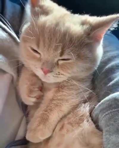 Simply adorable.