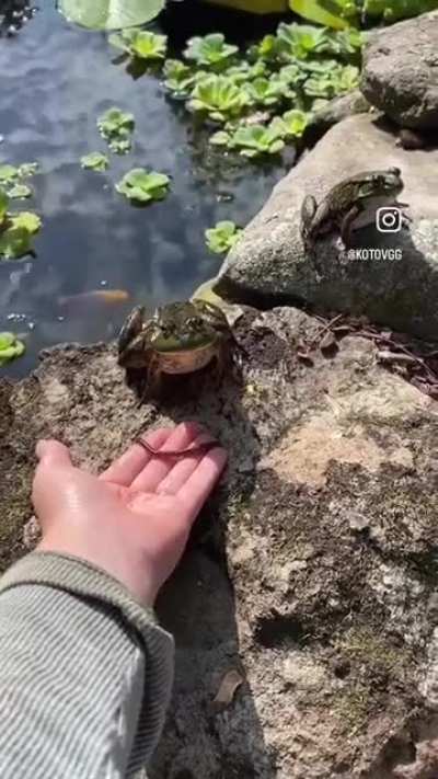 wunkscare