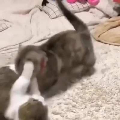 Behold! My POWER!