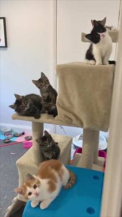 What are you looking at !