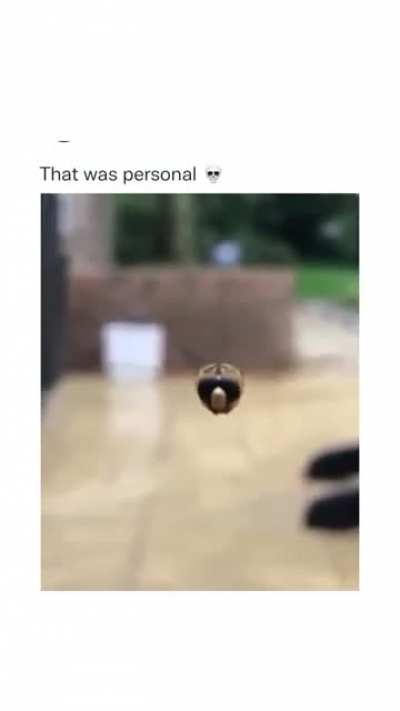 💀💀💀