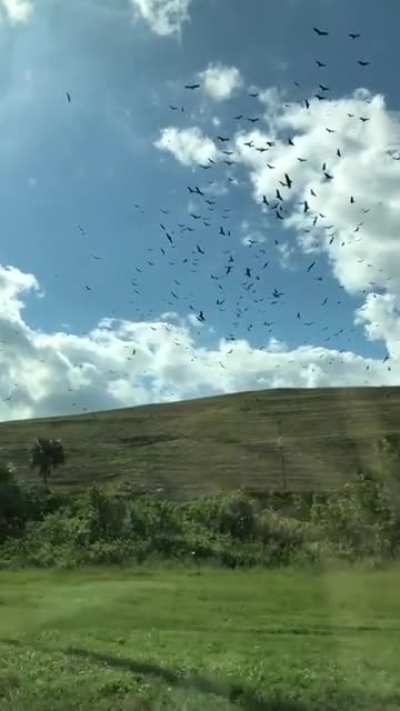 Interesting slo-mo on the road