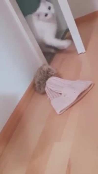 Touch tha Door