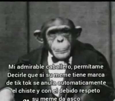 Mono basado