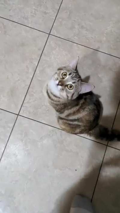 Eymynyn