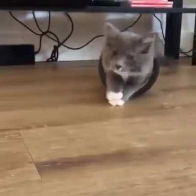 Maybe Maybe Maybe