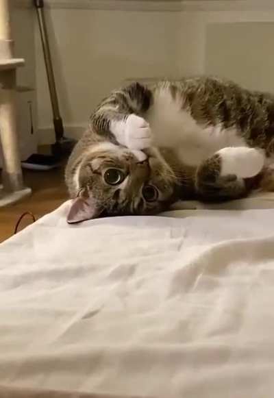 This little angel.