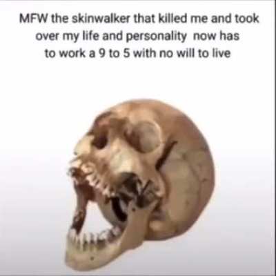 True
