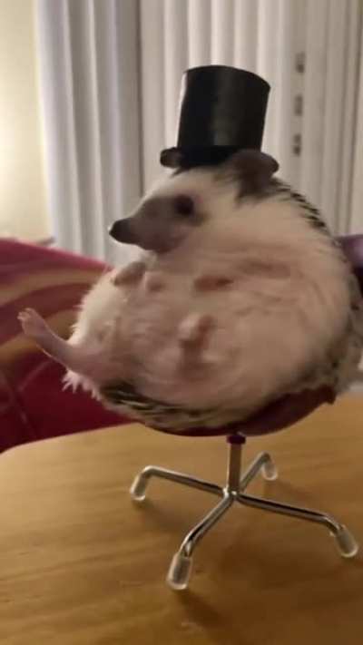 I've been expecting you