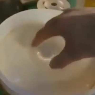 mayo