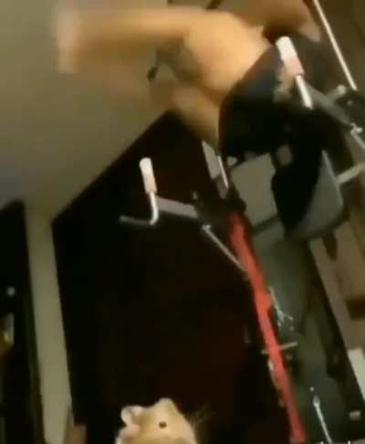 doing exercises
