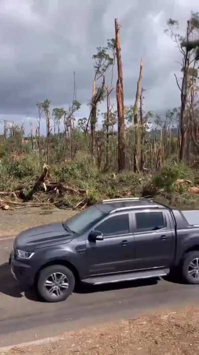 Extreme downburst impacts Mirboo North, Victoria (Australia) - February 13, 2024