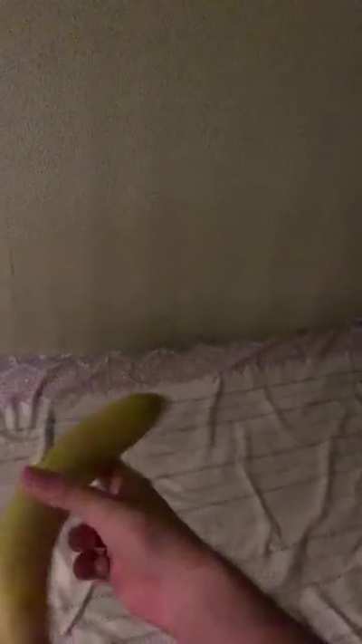 Wild banana