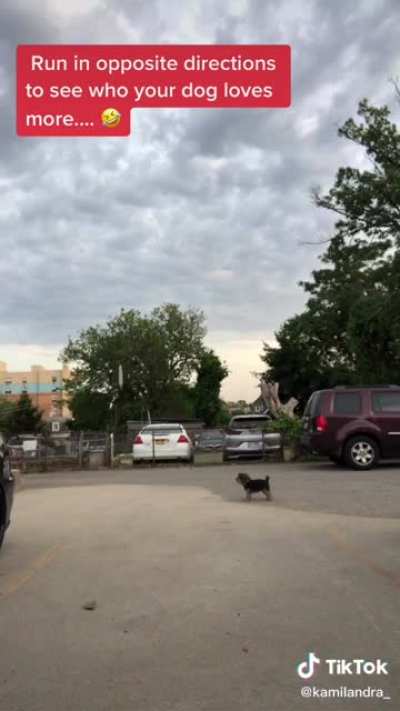 When that &ldquo;Who does your dog love more?&rdquo; trick causes great malfunction 😆😂 that poor dog lmao