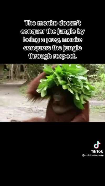 We all need to learn from this